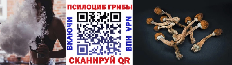 Псилоцибиновые грибы Psilocybe  Заволжск 